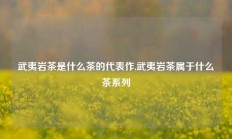 武夷岩茶是什么茶的代表作,武夷岩茶属于什么茶系列