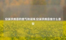 安溪铁观音的香气和滋味,安溪铁观音是什么香型