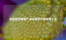 金骏眉茶哪里产,金骏眉茶产地是哪个省