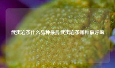 武夷岩茶什么品种最贵,武夷岩茶哪种最好喝