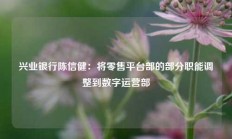 兴业银行陈信健：将零售平台部的部分职能调整到数字运营部