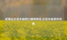 武夷山正岩水仙的口感和特征,正岩水仙茶叶价格