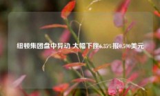 纽顿集团盘中异动 大幅下挫6.35%报0.590美元