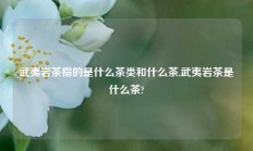 武夷岩茶指的是什么茶类和什么茶,武夷岩茶是什么茶?