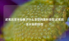 武夷岩茶水仙属于什么茶型的茶叶类型,武夷岩茶水仙的特性