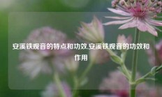 安溪铁观音的特点和功效,安溪铁观音的功效和作用