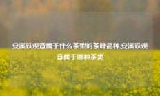 安溪铁观音属于什么茶型的茶叶品种,安溪铁观音属于哪种茶类