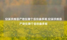 安溪铁观音产地在哪个省份最多呢,安溪铁观音产地在哪个省份最多呢