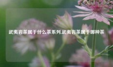 武夷岩茶属于什么茶系列,武夷岩茶属于哪种茶