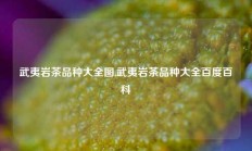 武夷岩茶品种大全图,武夷岩茶品种大全百度百科