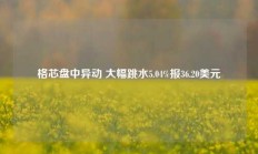 格芯盘中异动 大幅跳水5.04%报36.20美元