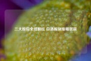 三大股指全线翻红 白酒板块涨幅居前