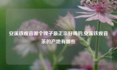 安溪铁观音哪个牌子最正宗好喝的,安溪铁观音茶的产地有哪些