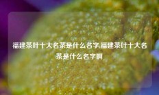 福建茶叶十大名茶是什么名字,福建茶叶十大名茶是什么名字啊