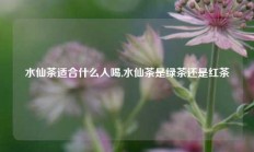 水仙茶适合什么人喝,水仙茶是绿茶还是红茶