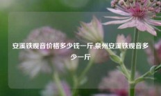 安溪铁观音价格多少钱一斤,泉州安溪铁观音多少一斤