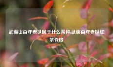 武夷山百年老枞属于什么茶种,武夷百年老枞红茶价格