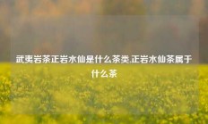 武夷岩茶正岩水仙是什么茶类,正岩水仙茶属于什么茶