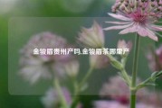 金骏眉贵州产吗,金骏眉茶哪里产