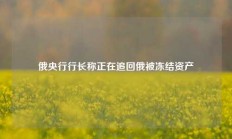 俄央行行长称正在追回俄被冻结资产