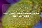 福建大红袍属于红茶还是绿茶呢图片,福建的名茶大红袍属于哪类茶