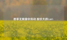 思享无限盘中异动 股价大跌5.66%