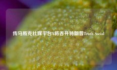 传马斯克社媒平台X将吞并特朗普Truth Social