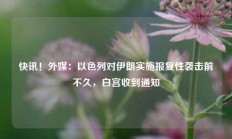 快讯！外媒：以色列对伊朗实施报复性袭击前不久，白宫收到通知