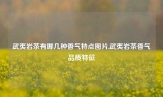 武夷岩茶有哪几种香气特点图片,武夷岩茶香气品质特征