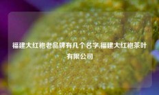 福建大红袍老品牌有几个名字,福建大红袍茶叶有限公司