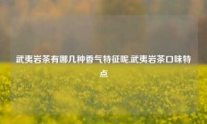 武夷岩茶有哪几种香气特征呢,武夷岩茶口味特点