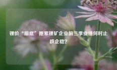 锂价“磨底”拖累锂矿企业前三季业绩何时止跌企稳？