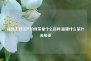 福建主要生产的绿茶是什么品种,福建什么茶叶是绿茶