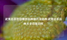 武夷岩茶包括哪些品种图片及名称,武夷岩茶品种大全百度百科