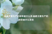 福建主要生产的绿茶是什么茶,福建主要生产的绿茶是什么茶类