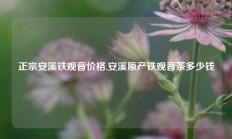 正宗安溪铁观音价格,安溪原产铁观音茶多少钱