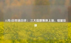 11月4日市场日评： 三大指数集体上涨，缩量反弹