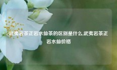 武夷岩茶正岩水仙茶的区别是什么,武夷岩茶正岩水仙价格