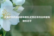 武夷岩茶的品种都有哪些,武夷岩茶的品种都有哪些名字