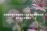 安溪县铁观音非遗传承人名单,安溪县铁观音非遗传承人名单照片