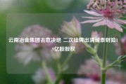 云南冶金集团去意决绝 二次挂牌出清诚泰财险1.9亿股股权