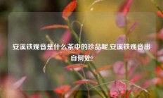 安溪铁观音是什么茶中的珍品呢,安溪铁观音出自何处?