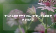 十大名茶碧螺春产于哪里,中国十大名茶碧螺春属于哪类茶