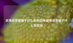 武夷岩茶是属于什么茶的品种,武夷岩茶属于什么茶类别