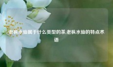 老枞水仙属于什么类型的茶,老枞水仙的特点术语