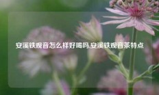 安溪铁观音怎么样好喝吗,安溪铁观音茶特点