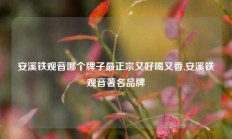 安溪铁观音哪个牌子最正宗又好喝又香,安溪铁观音著名品牌