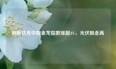 纳斯达克中国金龙指数涨超4%，光伏股走高