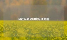 习近平会见印度总理莫迪