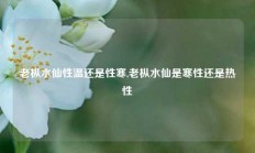 老枞水仙性温还是性寒,老枞水仙是寒性还是热性